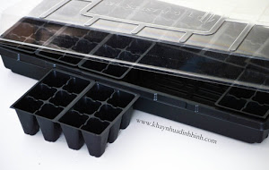 Vegetable growing tray